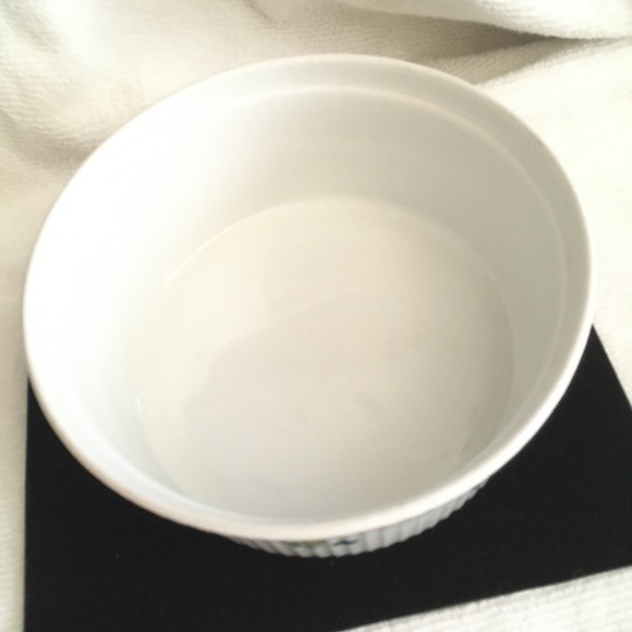 Apilco Kitchen Vintage Apilco France White Floral Porcelaine A Feu